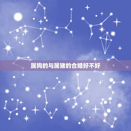 属狗的与属猪的合婚好不好,九四属狗的是什么命 属狗的与属猪的合婚好不好,九四属狗的是什么命