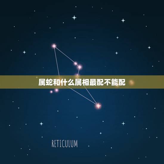 属蛇和什么属相最配不能配，属蛇的和什么属相最配