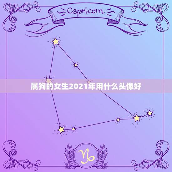 属狗的女生2021年用什么头像好,微信头像用什么最好最吉利2021 属狗的女生2021年用什么头像好,微信头像用什么最好最吉利2021