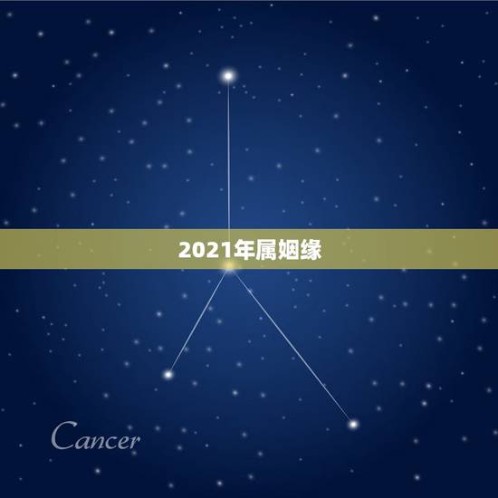 2021年属姻缘,1981年属鸡2021年运势女命 2021年属姻缘,1981年属鸡2021年运势女命