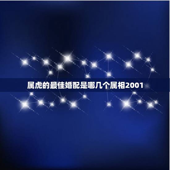 属虎的最佳婚配是哪几个属相2001，属虎的人配偶是那几个属相