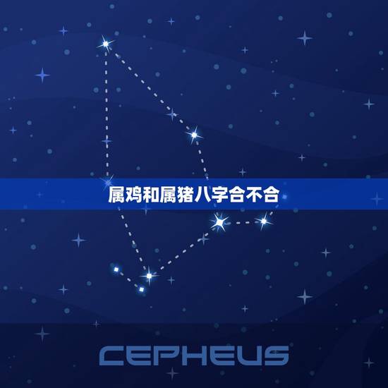 属鸡和属猪八字合不合，属鼠和属兔合不合