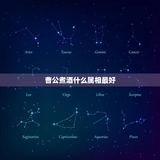 曹公煮酒什么属相最好，曹公煮酒论英雄，十全十美司马郎。这句诗是生肖里面