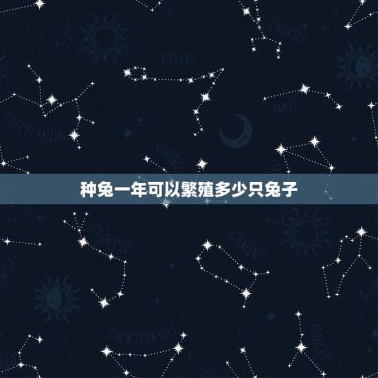 种兔一年可以繁殖多少只兔子,那种兔子产仔多 种兔一年可以繁殖多少只兔子,那种兔子产仔多