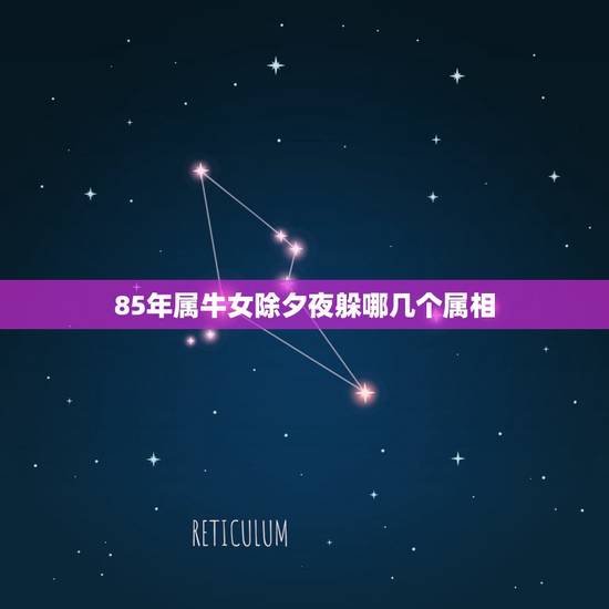 85年属牛女除夕夜躲哪几个属相,属牛和属虎结婚婚姻情况怎样 85年属牛女除夕夜躲哪几个属相,属牛和属虎结婚婚姻情况怎样