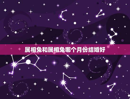 属相兔和属相兔哪个月份结婚好,男女都是属兔的几月结婚好 属相兔和属相兔哪个月份结婚好,男女都是属兔的几月结婚好