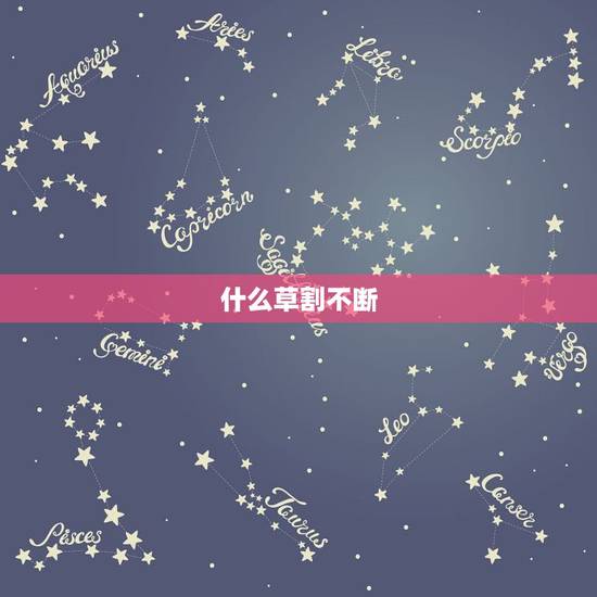 什么草割不断，会割破手的草