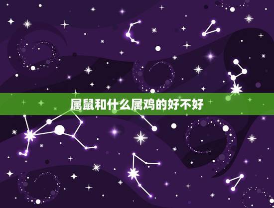 属鼠和什么属鸡的好不好,属鼠和什么属相不合 属鼠和什么属鸡的好不好,属鼠和什么属相不合