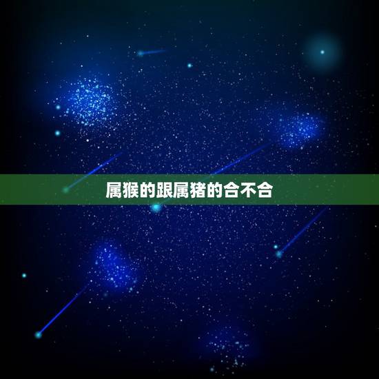 属猴的跟属猪的合不合，1975年属兔的是什么命