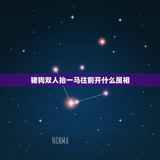 猪狗双人抬一马往前开什么属相,猪狗夫妻属相 女狗男猪相配吗 猪狗双人抬一马往前开什么属相,猪狗夫妻属相 女狗男猪相配吗