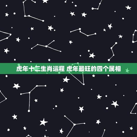 虎年十二生肖运程 虎年最旺的四个属相 虎年十二生肖运程 虎年最旺的四个属相
