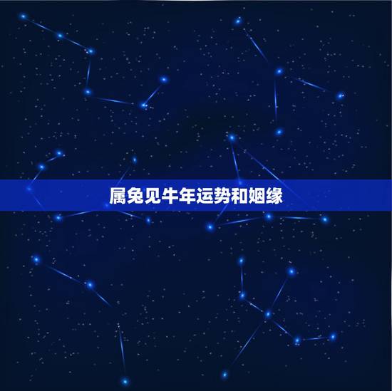 属兔见牛年运势和姻缘，属牛和属兔的姻缘