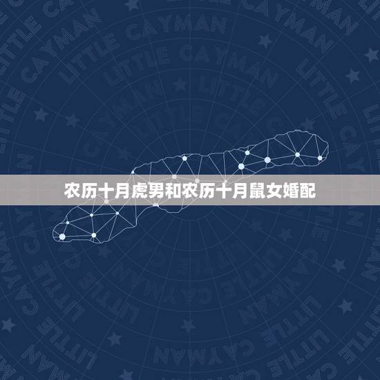 农历十月虎男和农历十月鼠女婚配，属牛的人和什么属相最配
