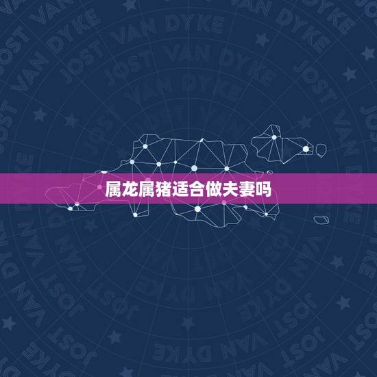 属龙属猪适合做夫妻吗，十二生肖配对