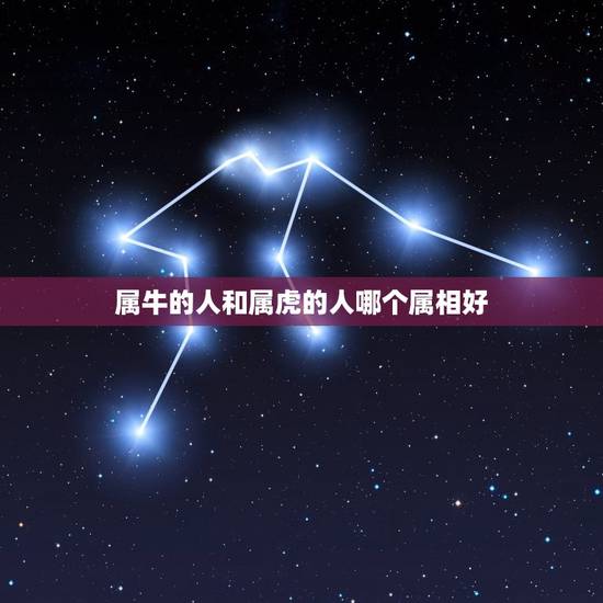 属牛的人和属虎的人哪个属相好，属牛和属虎的婚姻好不好