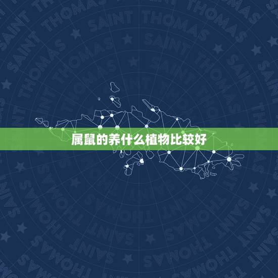 属鼠的养什么植物比较好,属鼠适合养什么植物 属鼠的养什么植物比较好,属鼠适合养什么植物