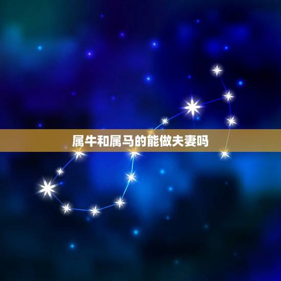 属牛和属马的能做夫妻吗，老公属马老婆属牛很恩爱