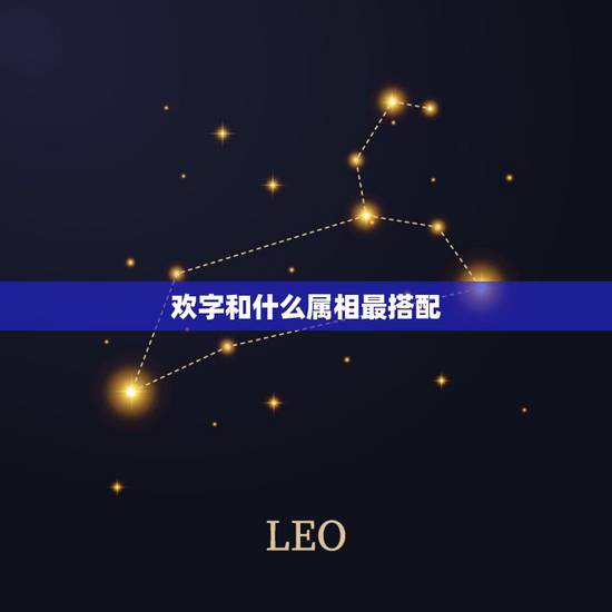 欢字和什么属相最搭配,请问欢字的生肖 欢字和什么属相最搭配,请问欢字的生肖