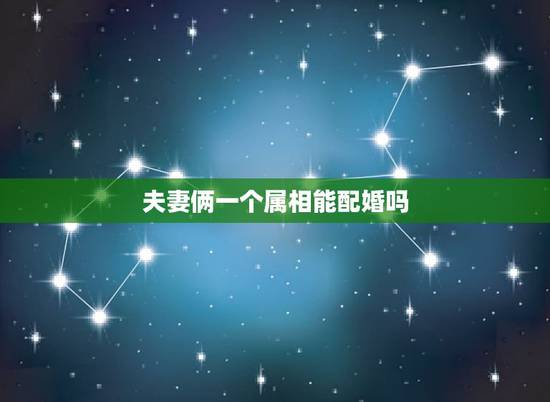 夫妻俩一个属相能配婚吗，两个属相相同的人结婚能幸福吗？