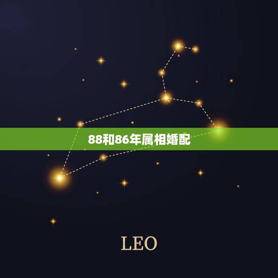 88和86年属相婚配，88年属龙的和什么属相最配
