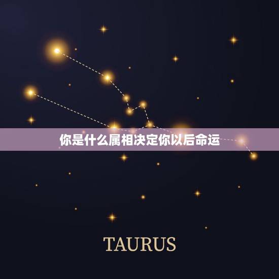 你是什么属相决定你以后命运，我是1990.10.02出生的，请问我是属