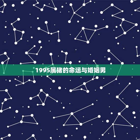 1995属猪的命运与婚姻男，九五年属猪男的婚姻状况