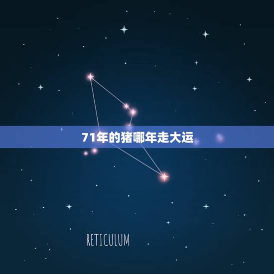 71年的猪哪年走大运，71年属猪49岁有一灾2022