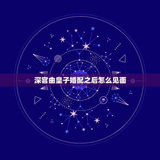 深宫曲皇子婚配之后怎么见面，深宫曲怎么看女婿