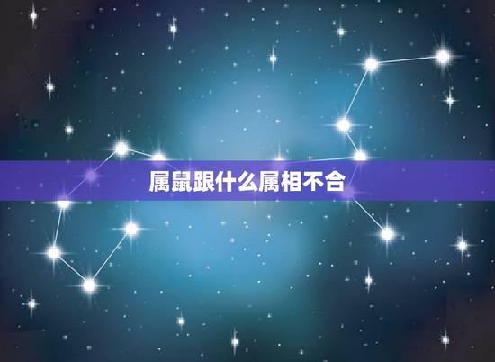 属鼠跟什么属相不合，生肖鼠不适合和哪几个生肖