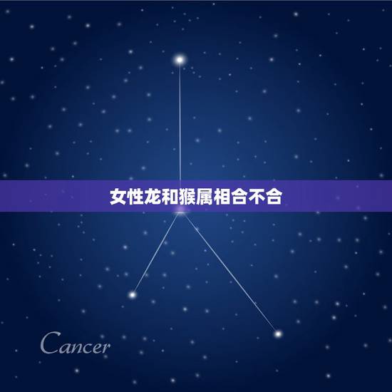 女性龙和猴属相合不合，属猴女和属龙男合不合？