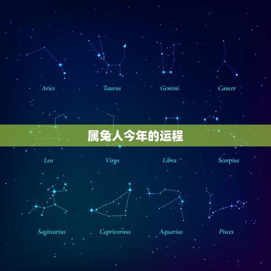 属兔人今年的运程，属兔的人今年运程如何