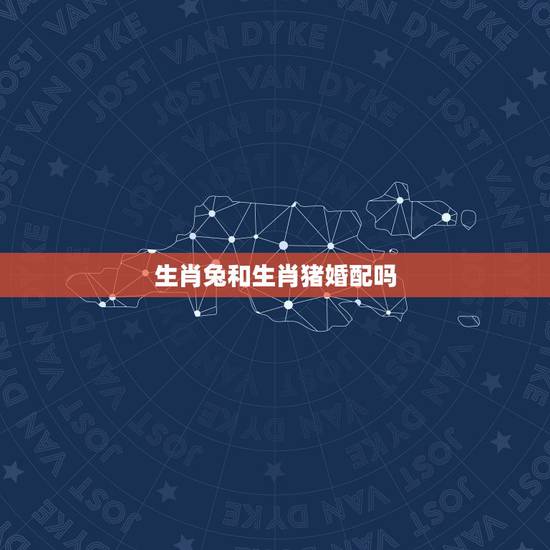 生肖兔和生肖猪婚配吗,属相兔子和猪配吗 生肖兔和生肖猪婚配吗,属相兔子和猪配吗