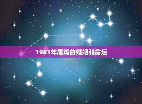 1981年属鸡的婚姻和命运，1981年属鸡人与1975年人婚姻与命运