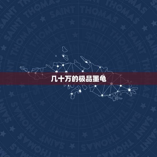 几十万的极品墨龟，极品的墨龟在哪里买？