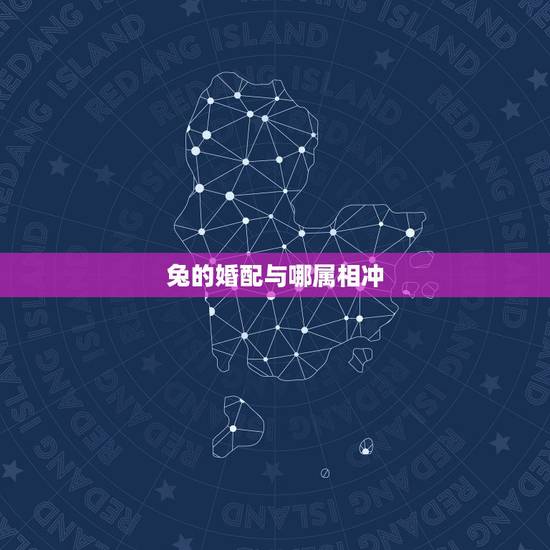 兔的婚配与哪属相冲，兔跟什么相冲