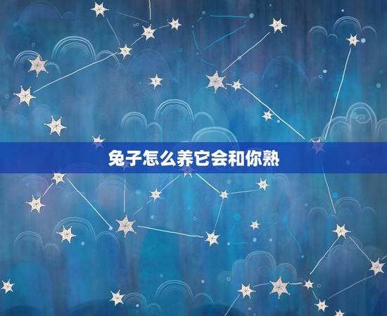 兔子怎么养它会和你熟，养兔子的十大禁忌