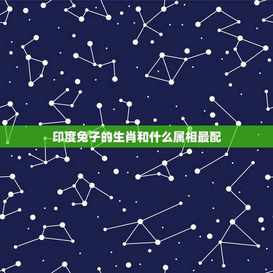 印度兔子的生肖和什么属相最配,印度的12生肖和中国的12生肖有什么不同 印度兔子的生肖和什么属相最配,印度的12生肖和中国的12生肖有什么不同