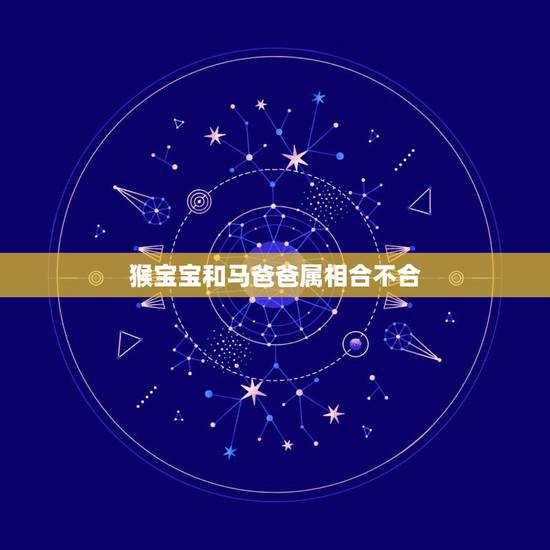 猴宝宝和马爸爸属相合不合，属马的和属猴的孩子属相最好是什么