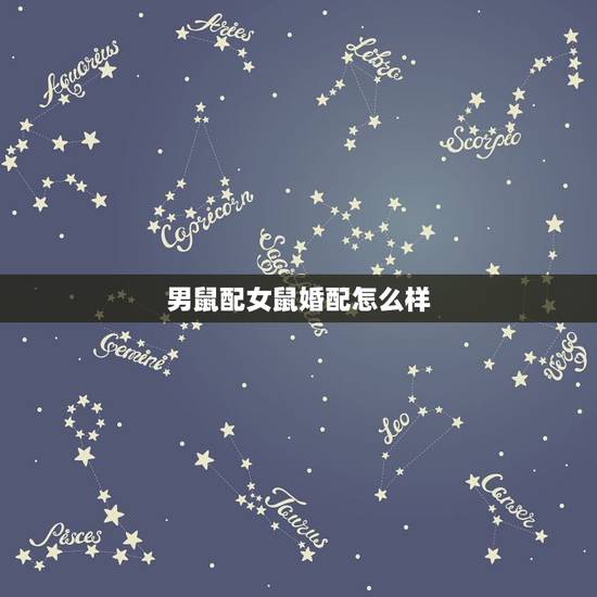 男鼠配女鼠婚配怎么样,男属鼠与女属龙相配吗? 男鼠配女鼠婚配怎么样,男属鼠与女属龙相配吗?