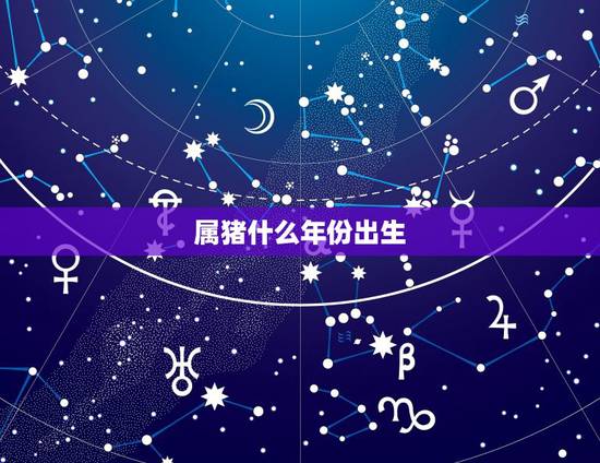 属猪什么年份出生，属猪的出生年月
