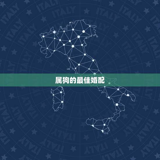 属狗的最佳婚配,属狗的最佳配偶 属狗的最佳婚配,属狗的最佳配偶