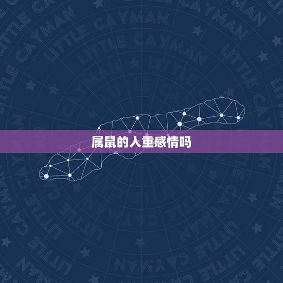 属鼠的人重感情吗,属鼠男人花心吗 属鼠的人重感情吗,属鼠男人花心吗
