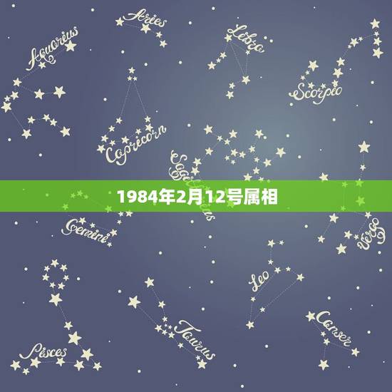 1984年2月12号属相，我是属鼠1984年农历2月12日的，我女朋友