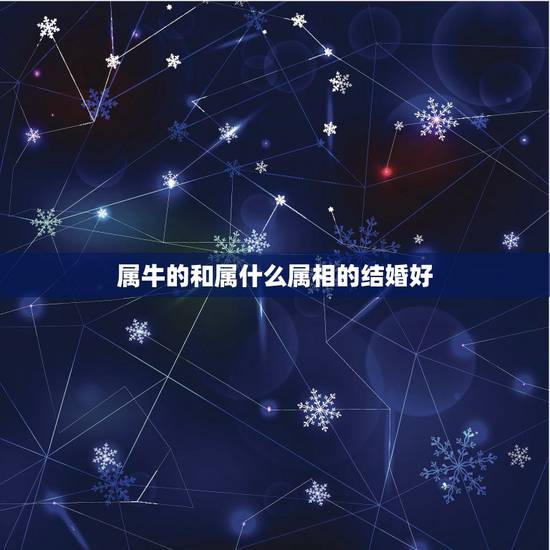 属牛的和属什么属相的结婚好，属牛的适合跟哪个属相最配结婚