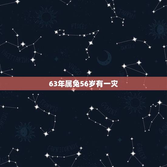 63年属兔56岁有一灾，想看看63年属兔人今天的财运？