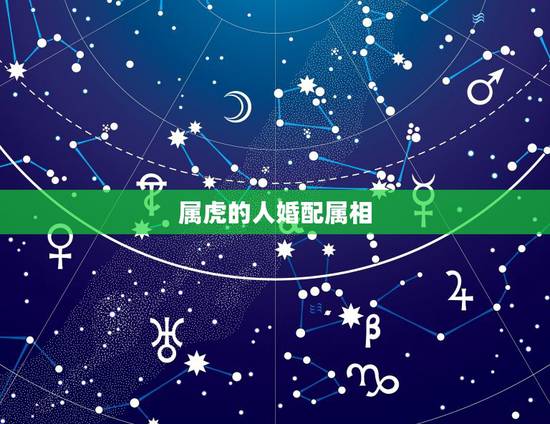 属虎的人婚配属相，1998年属虎更佳婚配