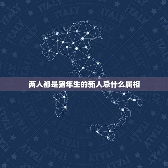 两人都是猪年生的新人忌什么属相，猪年元旦节结婚，新郎属猴，新娘属猪，伴