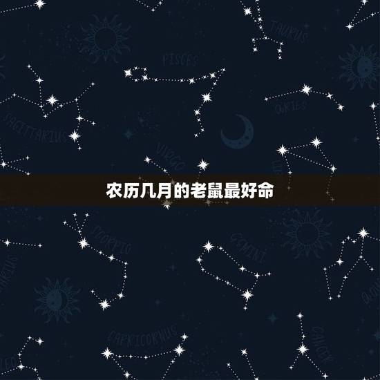 农历几月的老鼠最好命,属鼠的几月出生最好命阴历 农历几月的老鼠最好命,属鼠的几月出生最好命阴历