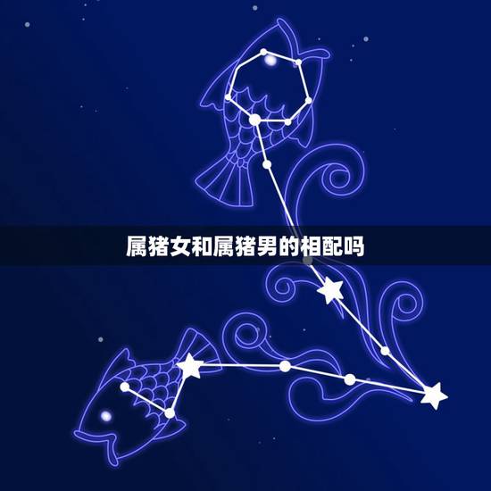 属猪女和属猪男的相配吗,女猪男猪属相相配吗 属猪女和属猪男的相配吗,女猪男猪属相相配吗