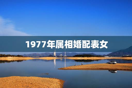 1977年属相婚配表女，属相婚配女77蛇和男80后